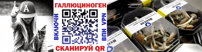 Галлюциногенные грибы GOLDEN TEACHER  omg зеркало  Щигры  закладки 